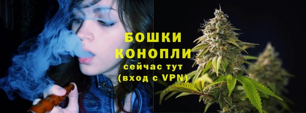 спайс Аркадак