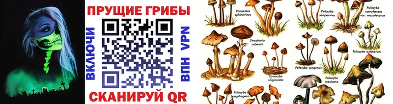 Купить закладки  Москва  Галлюциногенные грибы ЛСД 